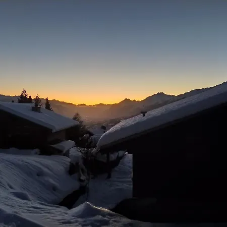 Alpehytte Bissetrot *